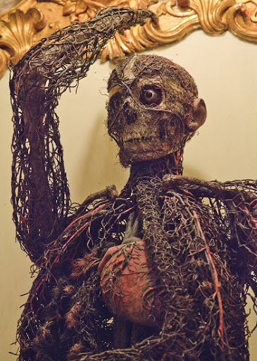 Macchina anatomica di Raimondo di Sangro, che corrisponde ad uno scheletro riprodotto con minuzia di particolare. 
