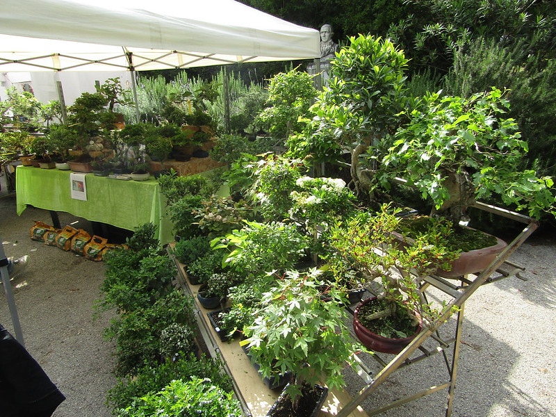 Una foto degli stand dell'evento “Planta, il giardino e non solo”.