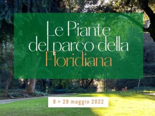 “Le Piante del parco della Floridiana”: il programma degli incontri didattici gratuiti
