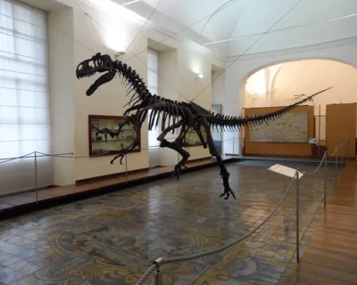 Collezionare la Natura 2023: la mostra mercato al Museo di Paleontologia
