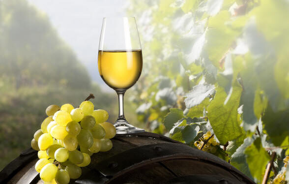 Campania Wine 2023: programma, orari e prezzi