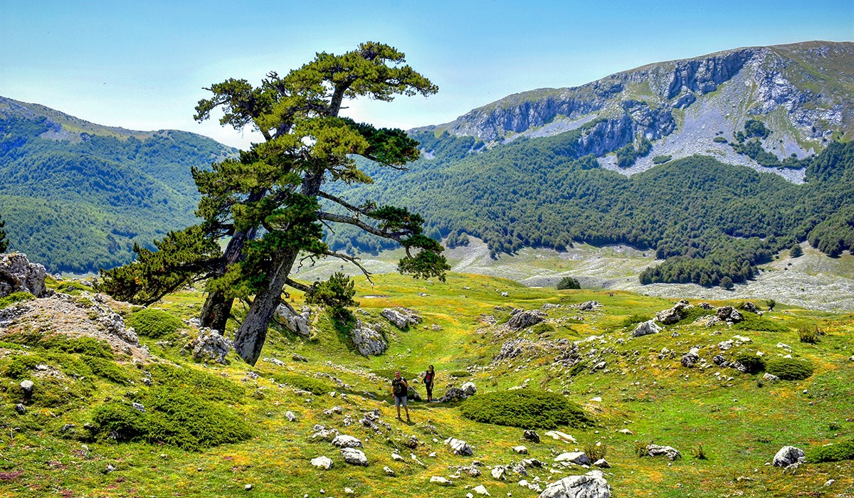 mappa del parco nazionale del pollino