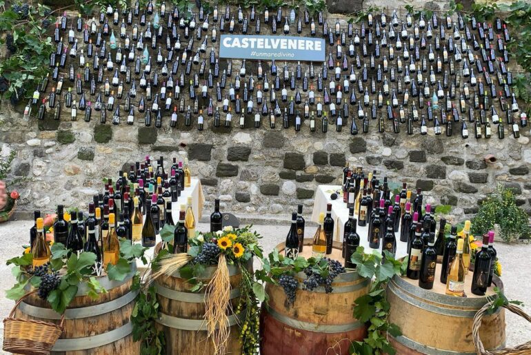 Festa del Vino 2023 a Castelvenere (BN)